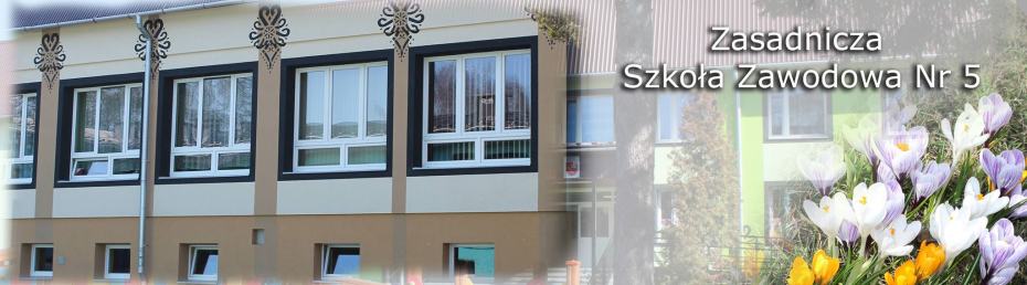 Branżowa Szkoła I stopnia Nr 5 Branżowa Szkoła I stopnia Nr 5